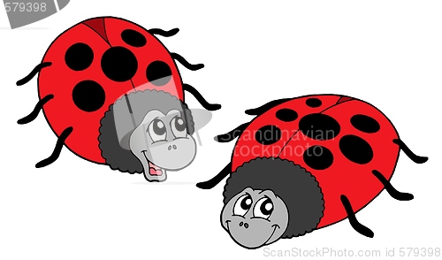 Image of Cute ladybugs