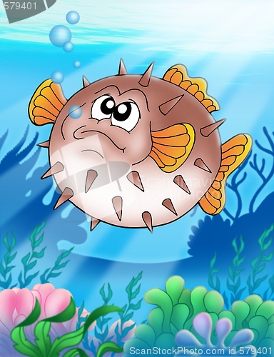 Image of Balloonfish with bubbles