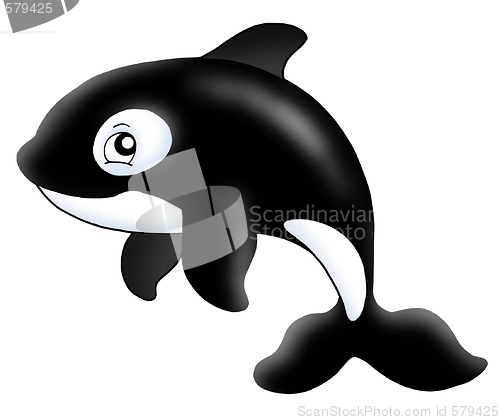 Image of Killer whale