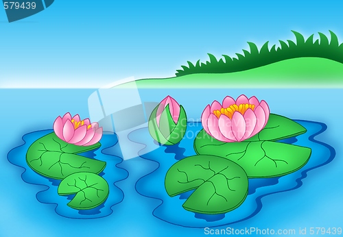 Image of Pink water lilies 2