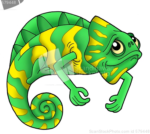 Image of Green chameleon