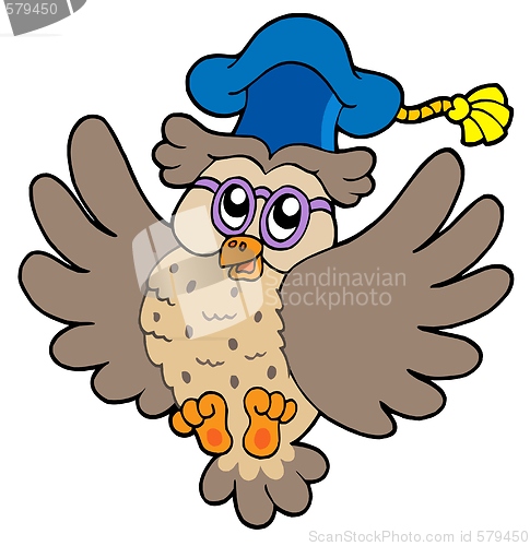 Image of Flying owl teacher