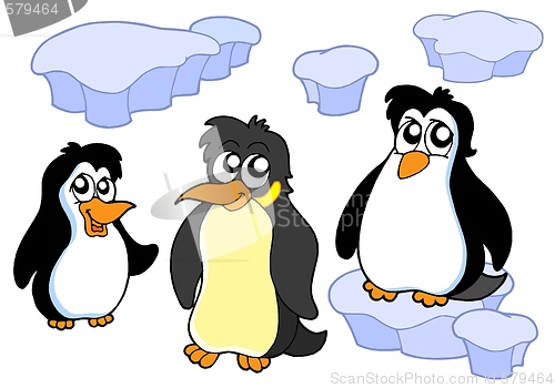 Image of Penguins collection