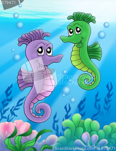 Image of Pair of sea horses