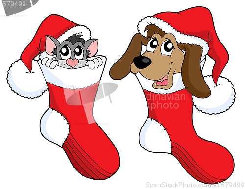 Image of Cute cat and dog in Christmas socks
