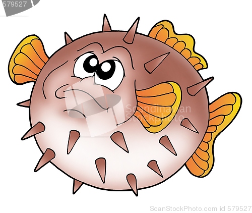 Image of Balloon fish