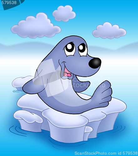 Image of Cute seal on iceberg 2