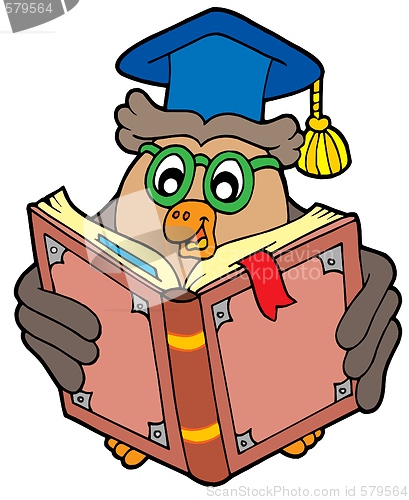 Image of Owl teacher reading book