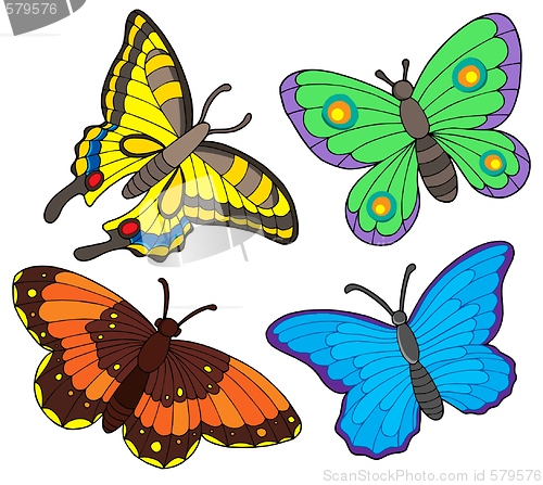 Image of Butterfly collection
