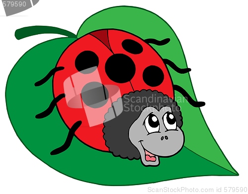 Image of Cute ladybug on leaf