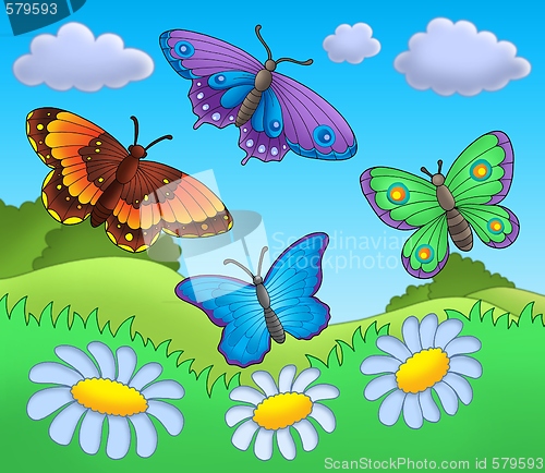 Image of Butterflies on meadow