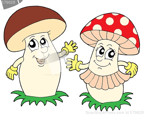 Image of Mushroom and toadstool