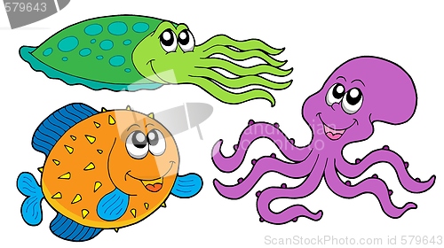 Image of Marine species collection