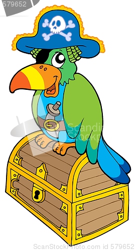 Image of Pirate parrot sitting on chest