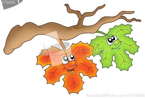Image of Pair of autumn leaves on branch