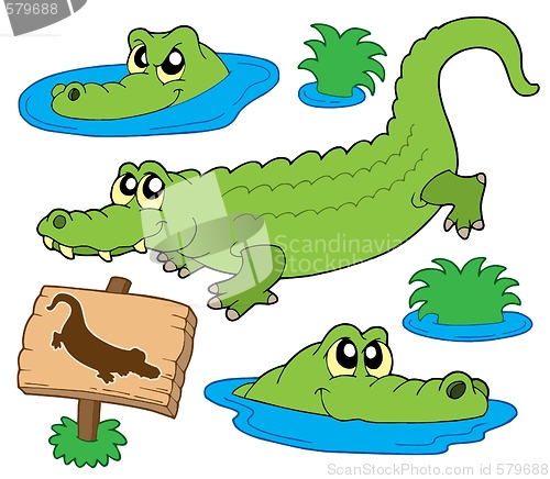 Image of Crocodile collection