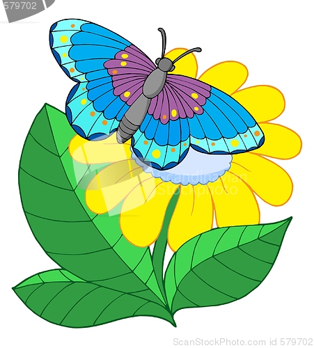 Image of Butterfly on yellow flower