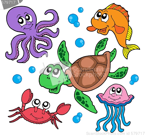 Image of Marine animals collection