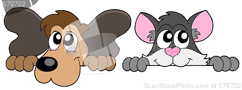 Image of Curious cat and dog