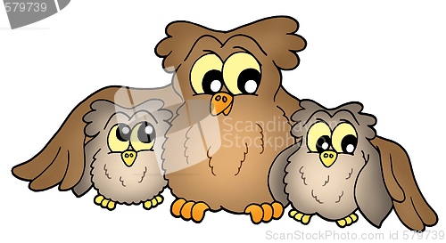 Image of Cute owls