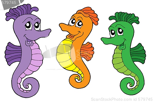 Image of Cute sea horses