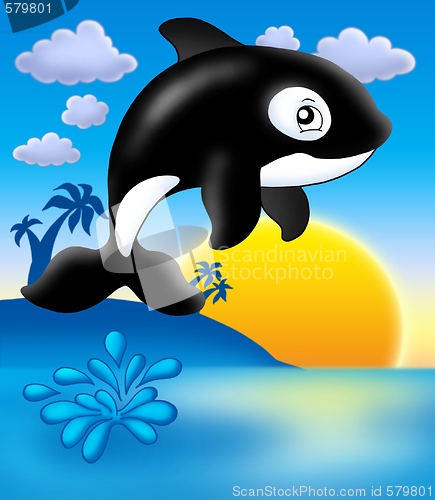 Image of Killer whale with sunset
