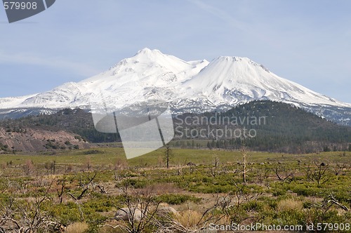 Image of Mt. Shasta