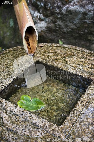 Image of Bamboo Fountain