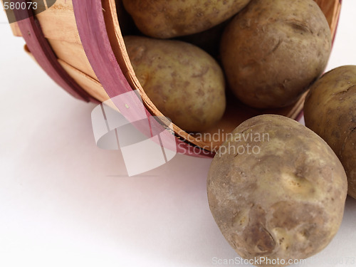 Image of Spilled Potatoes