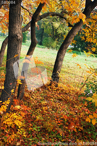 Image of Autumn landscape