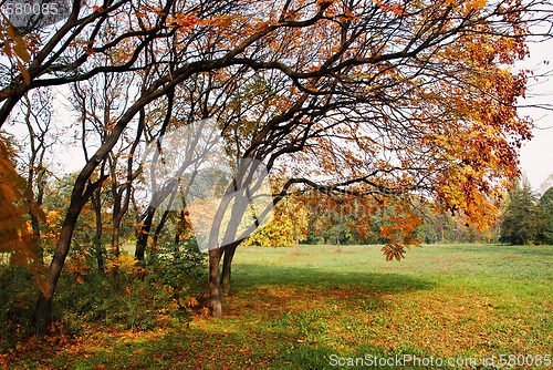 Image of Autumn landscape