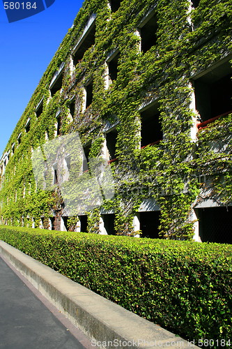 Image of Ivy Covered Building