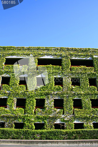 Image of Ivy Covered Building