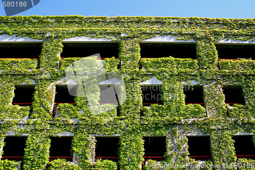 Image of Ivy Covered Building