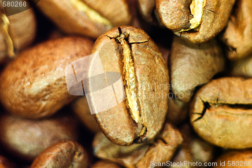 Image of Coffee been close-up