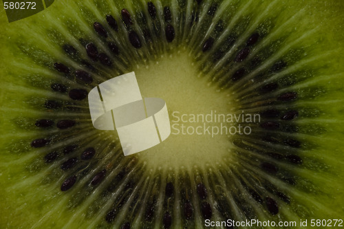 Image of Center of kiwi close-up