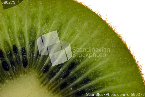 Image of Kiwi close-up