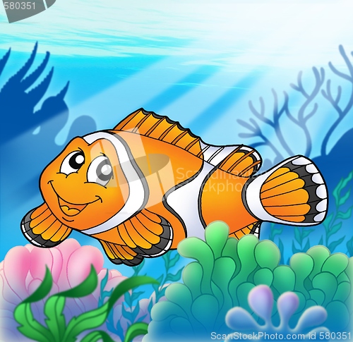 Image of Clownfish with anemone