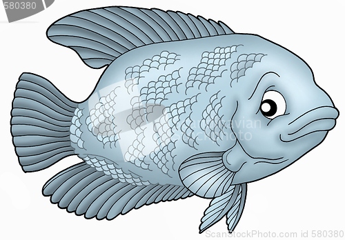 Image of Gurama fish