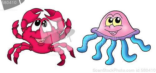 Image of Cute crab and medusa