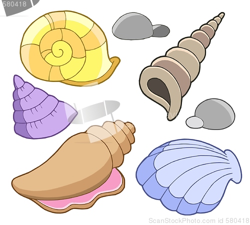 Image of Sea shells collection