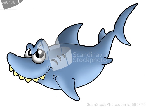 Image of Shark