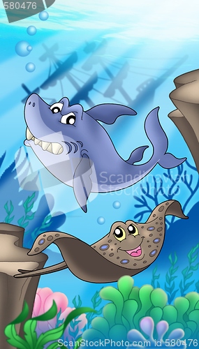 Image of Shark and eagle ray with shipwreck