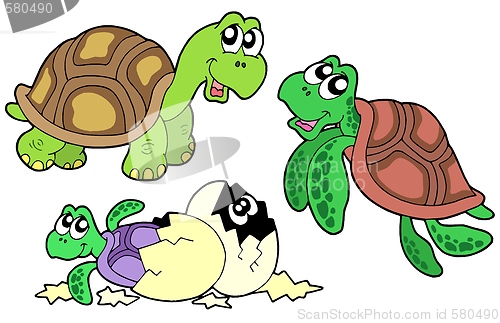 Image of Turtles collection