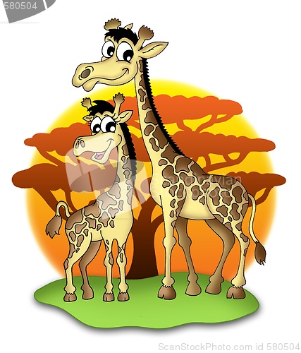 Image of Giraffes