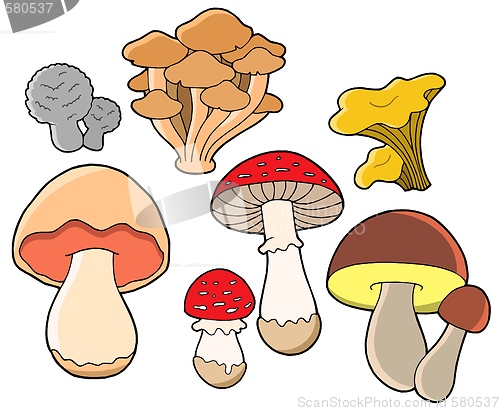 Image of Various fungi collection