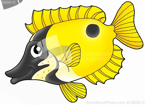 Image of Foxface rabbitfish