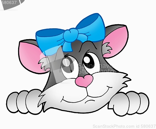 Image of Curious cat