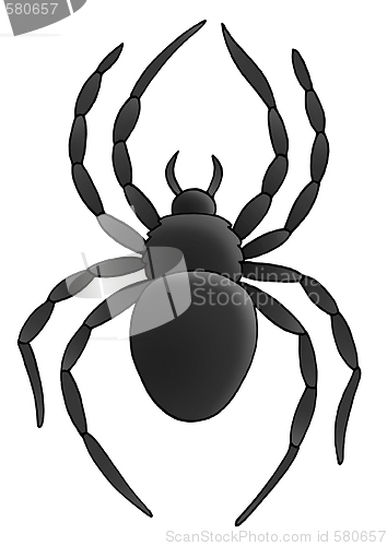 Image of Spider