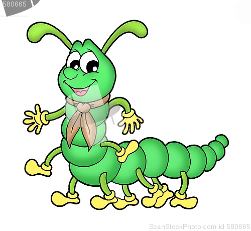 Image of Centipede